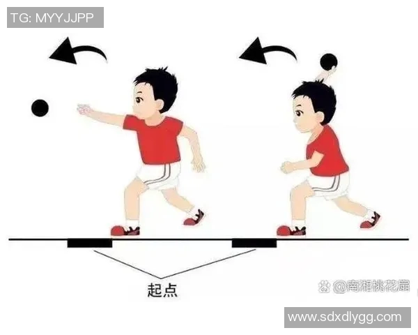 科学网球:力量训练方法 科学网球:力量训练方法