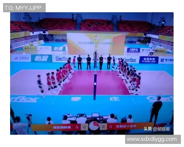 上海排球队的默契配合揭秘让我们一起领略排球的魅力与精彩