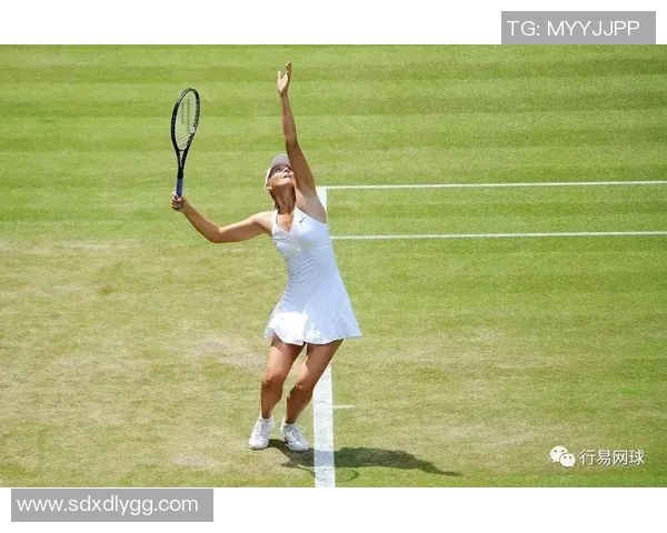 上海网球队选拔赛表现分析速度优势与技术提升的深度探讨 上海网球队选拔赛表现分析速度优势与技术提升的深度探讨