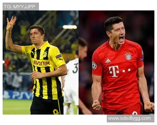 全球足球明星球迷数量排行榜揭示影响力与魅力的背后故事