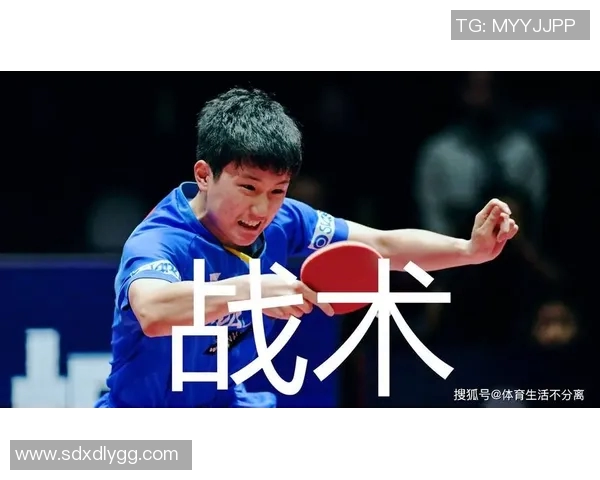 南京乒乓球队控制打法深度分析与战术应用探讨