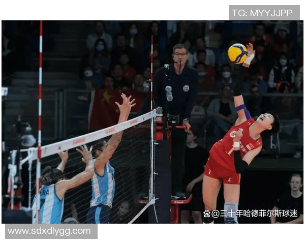 南京排球队在世界锦标赛上的速度表现分析与战术探讨