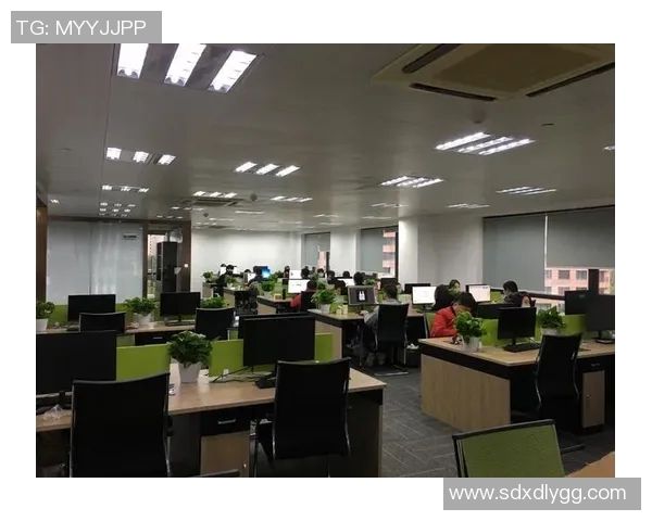 深入分析杭州羽毛球队的运营策略与发展模式探讨 深入分析杭州羽毛球队的运营策略与发展模式探讨