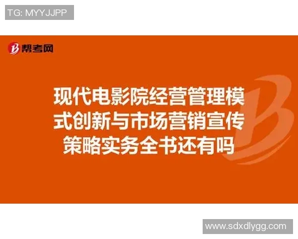 杭州足球队运营革新探讨:从管理模式到市场营销的全面升级之路 杭州足球队运营革新探讨:从管理模式到市场营销的全面升级之路