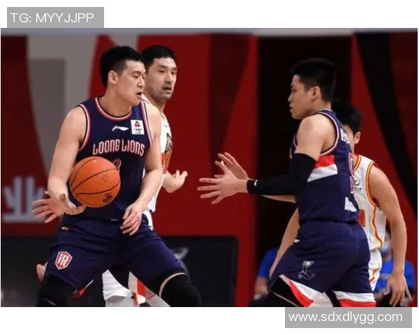 武汉篮球队的节奏探秘：从战术到球员的全面分析与展望