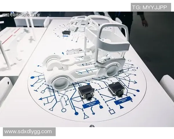 深圳乒乓球队转型之路的挑战与机遇全景探讨