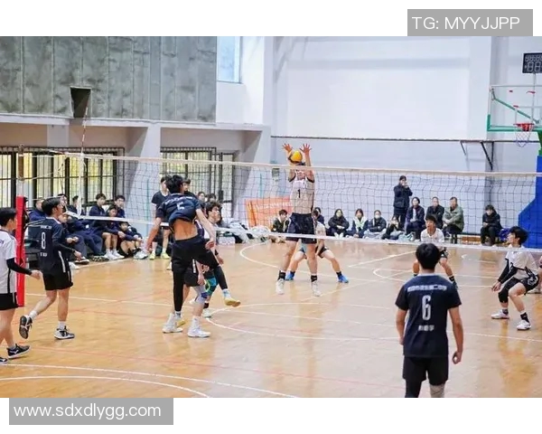 西安排球队在排球意识排行榜中荣登第六名展现出强大实力与团队配合