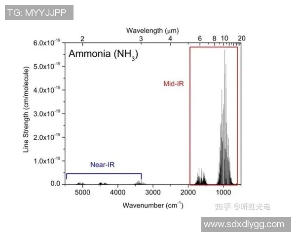 广州篮球队近期状态全面分析与对比探讨