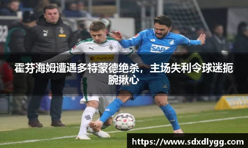 乐发lll官方网站