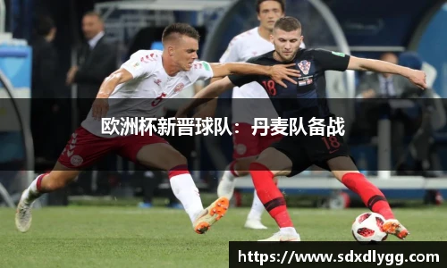 欧洲杯新晋球队：丹麦队备战
