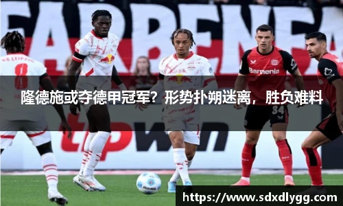 乐发lll官网