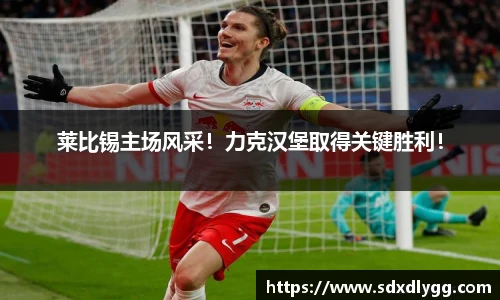 莱比锡主场风采！力克汉堡取得关键胜利！