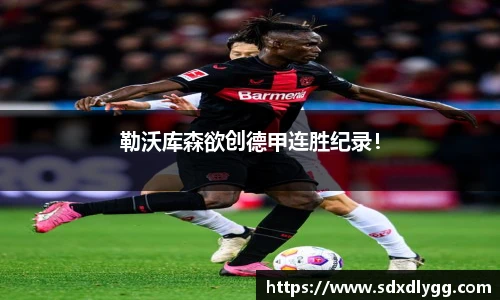 勒沃库森欲创德甲连胜纪录！