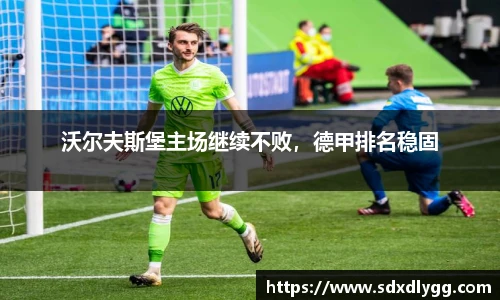 沃尔夫斯堡主场继续不败，德甲排名稳固