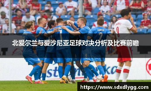 北爱尔兰与爱沙尼亚足球对决分析及比赛前瞻