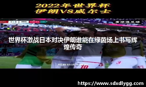 世界杯激战日本对决伊朗谁能在绿茵场上书写辉煌传奇